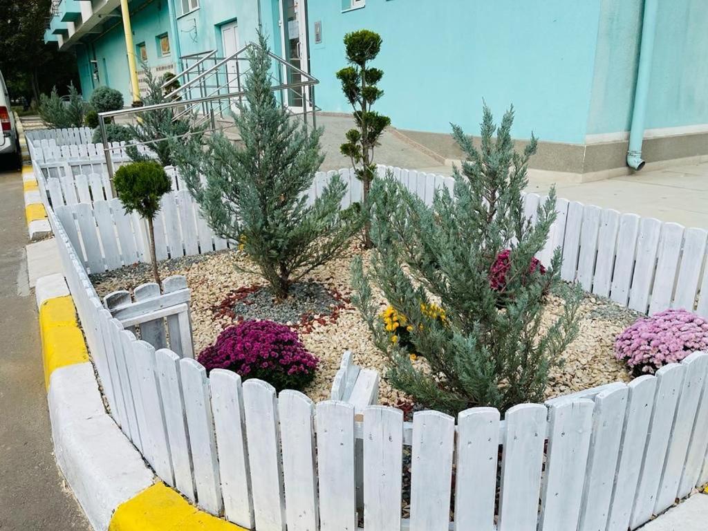 Apartament Summerland Mamaia Nord Exteriör bild